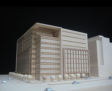 Denver Project